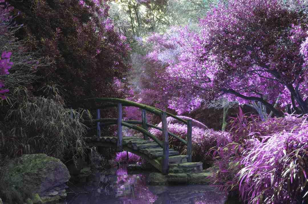 Quelle pierre pour jardin japonais ?